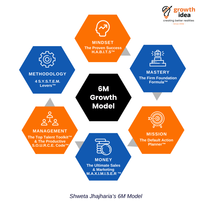 6M Model Business Growth