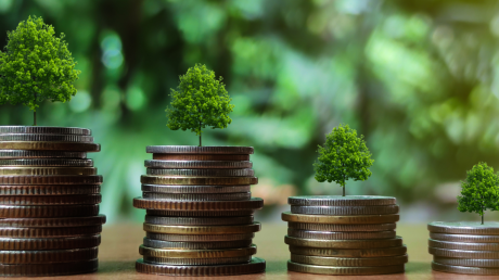 The 6M Growth OS: A Framework for Scaling an Established Business