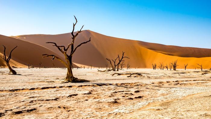 desert