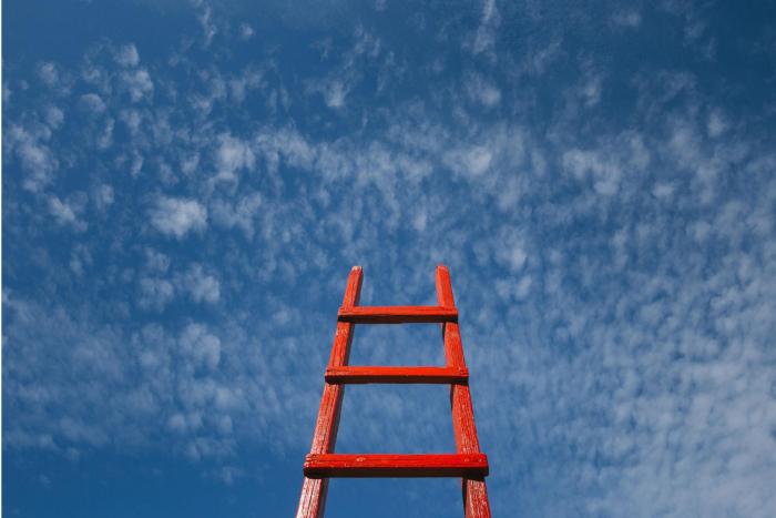 business growth